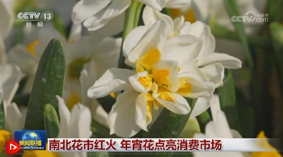 正在上传... cad37c9838e2bedc4eb70bc2f9f18bee.png