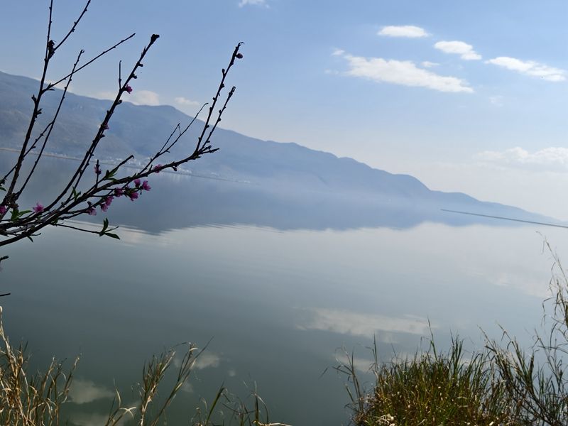 新春走基层｜山朝水朝，不如人来朝——异龙湖畔感受高原湖泊治污成果
