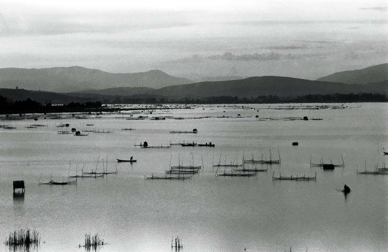 新春走基层｜山朝水朝，不如人来朝——异龙湖畔感受高原湖泊治污成果