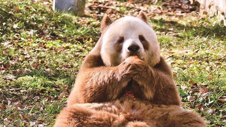 守护国宝中的“美人”