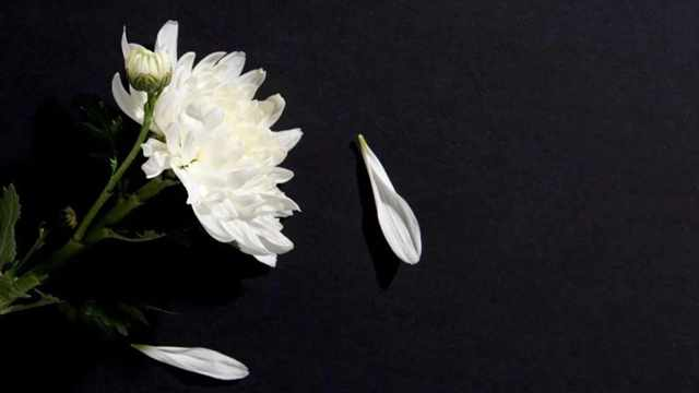 清姜河畔的生命托举——追记陕西省第八届道德模范张红星