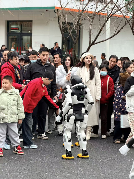 “马”跃九成宫，宝鸡麟游县2026年民俗文化游展演燃爆全城