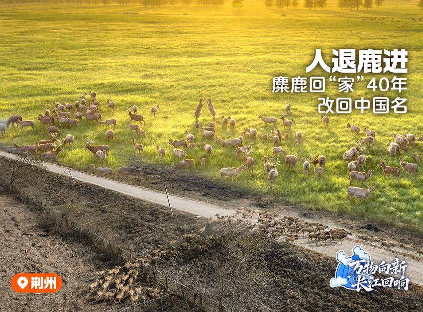 万物向新，长江回响