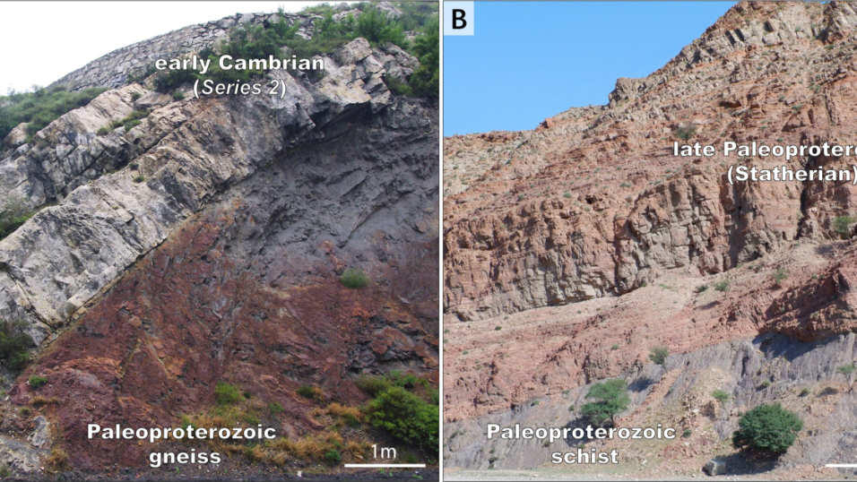 破解百年谜题！西北大学有“突破性发现”
