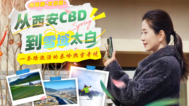 奔县游丨从西安CBD到雪域太白：一条路激活的秦岭热雪奇境