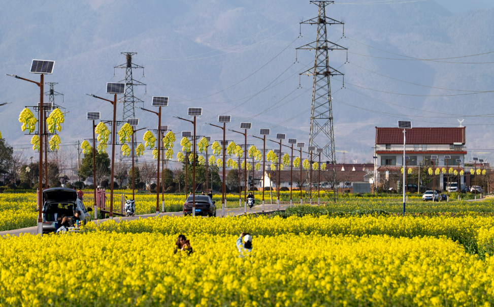 正在上传... a9484fd831c4391a425256a64336958a.png