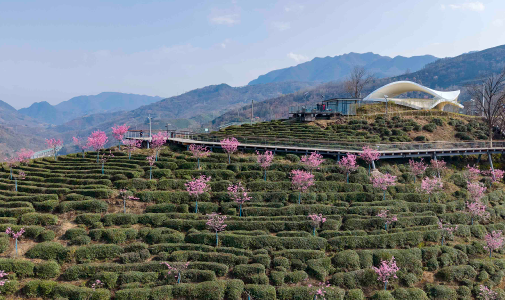 正在上传... 145ae4fa6bfa5de869fcf520a94c8f98.png