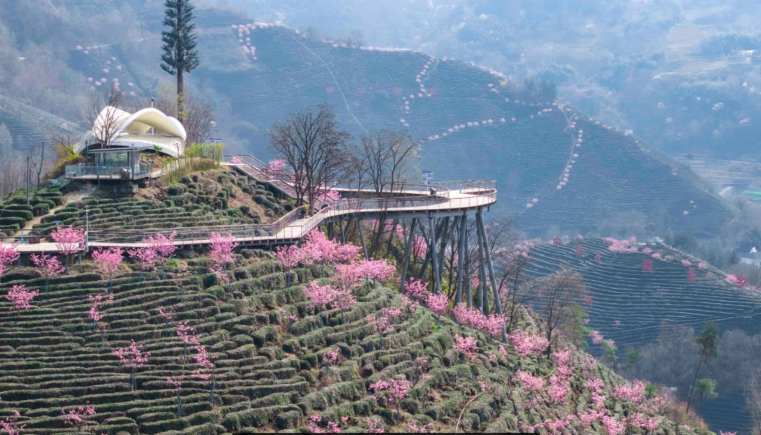 正在上传... 7c4a1ab121c8ad2857bcc3f7a2902fd7.png