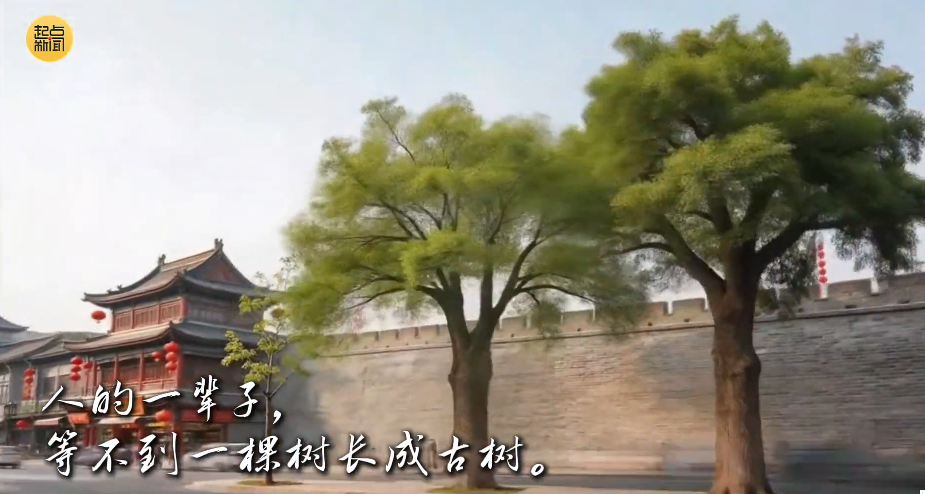 植树节特别策划｜今天种下一棵树 AI带你去看百年后的样子