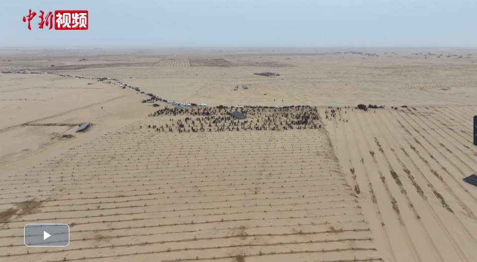 正在上传... abc594e6021846b31de51fb6a1518b13.png