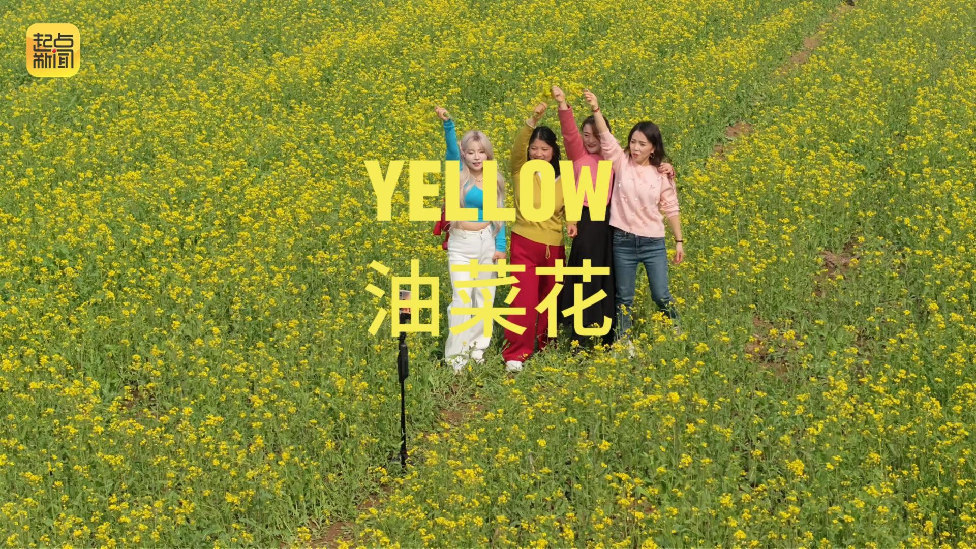 春天里的陕西｜春风执笔绘新图·秦岭北麓这条公路藏着“治愈系”的乡野浪漫