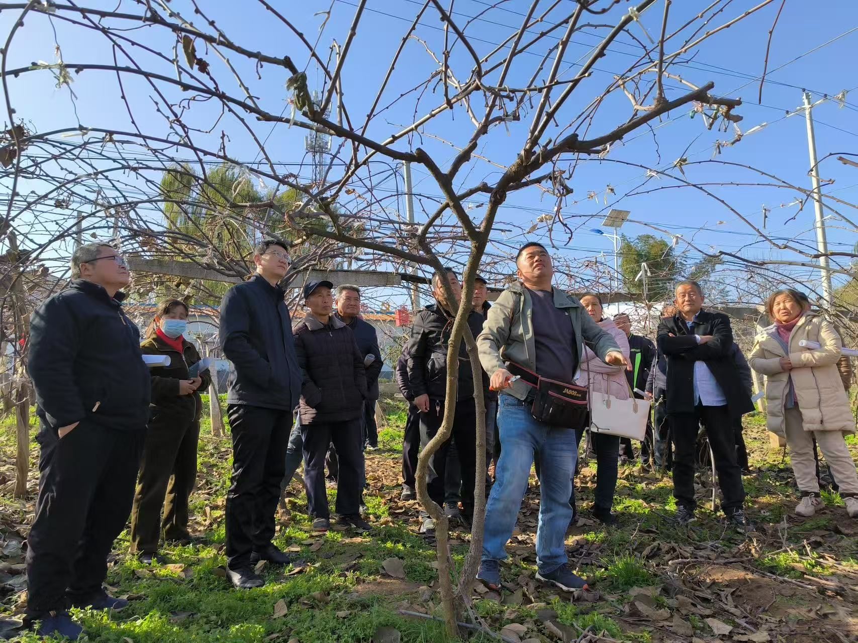 宝鸡眉县：党建赋能“黄金果” 小猕猴桃长成乡村振兴大产业