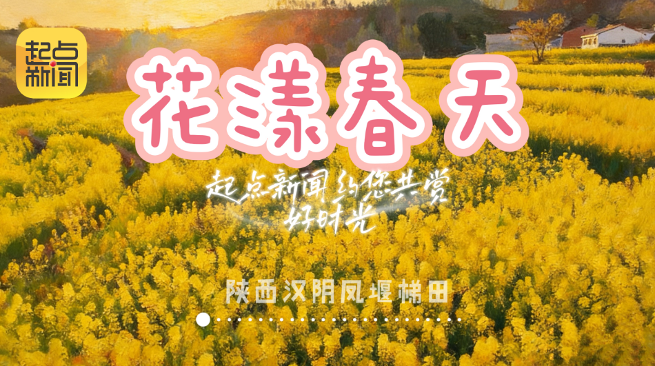 花漾春天！起点新闻约您共赏好时光 | 汉阴凤堰梯田