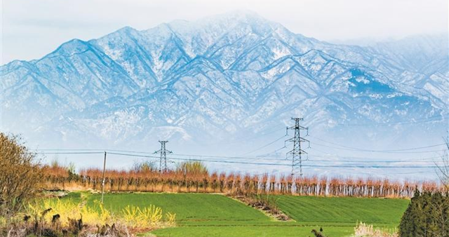 春雪初霁花开早