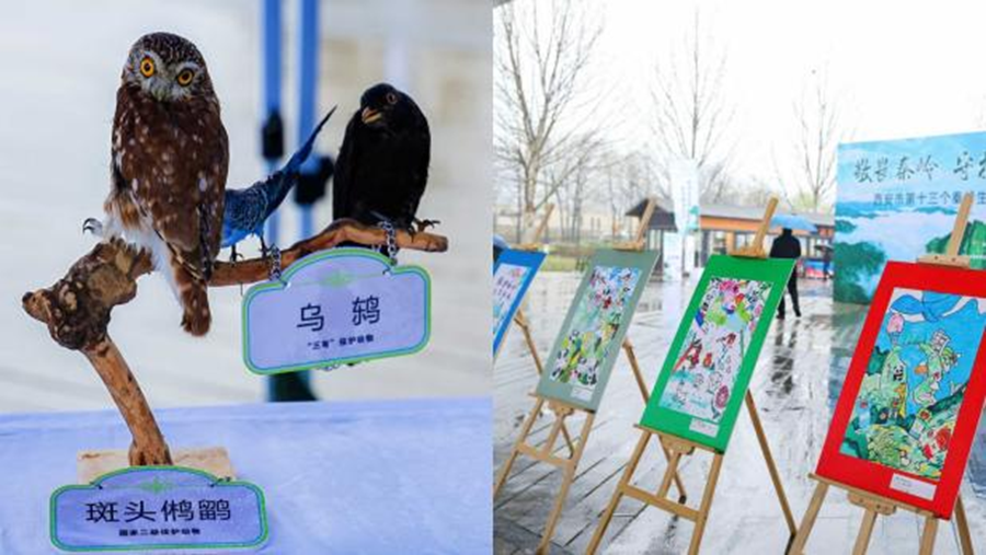 雨润秦岭启新程 西安市第十三个秦岭生态环境保护宣传周正式启动