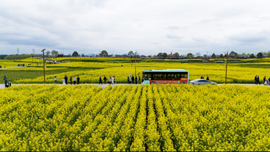 正在上传... 2b28b8362eacc208142960f13aa7bc9b.png