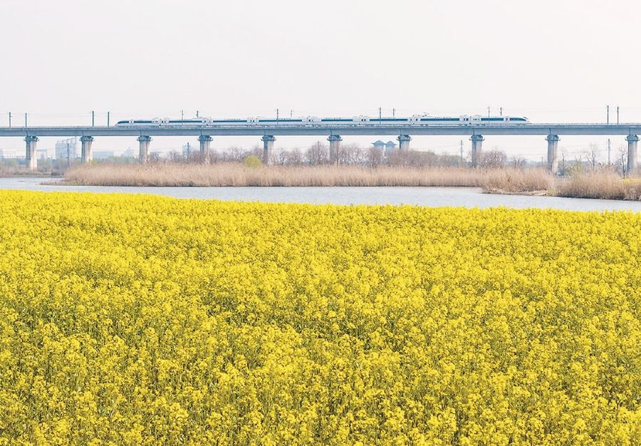 <br/ >“十五五”的第一个春天,一列高铁列车穿行在合肥十八联圩生态湿地。 新华社图 33d568cd924adec8027511b1ff1ff56b.jpeg