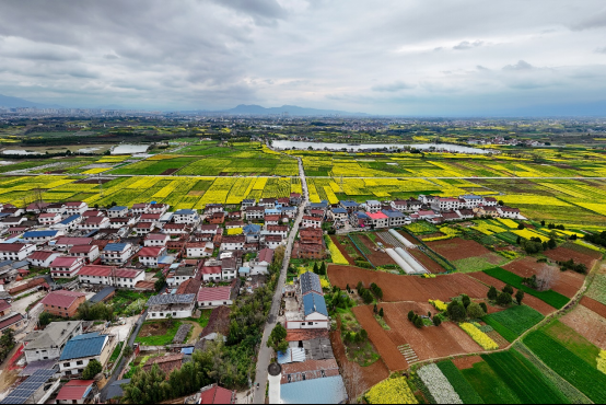 正在上传... 548295ac88ee86f2453e36327dc488dd.png