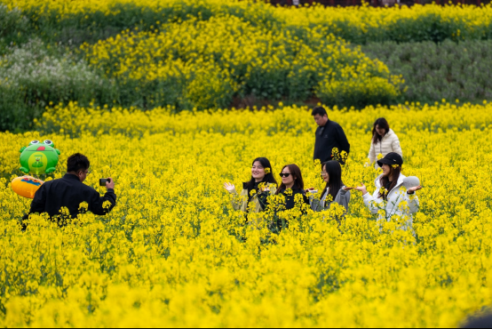 正在上传... 99d00d0e3aa924291f030eae8d74ec64.png