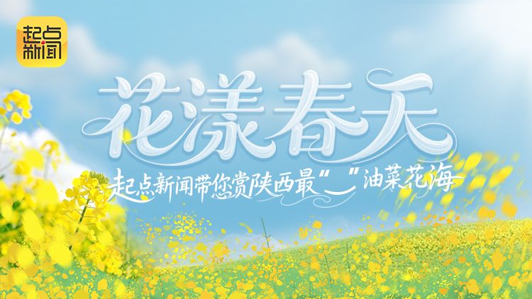 慢直播丨花漾春天·起点新闻带您赏陕西最“__”油菜花海