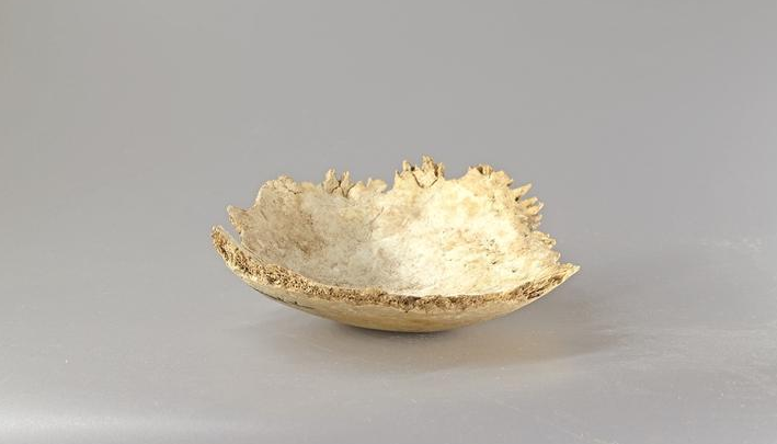 泾阳蒋刘遗址发现西周中晚期遗存