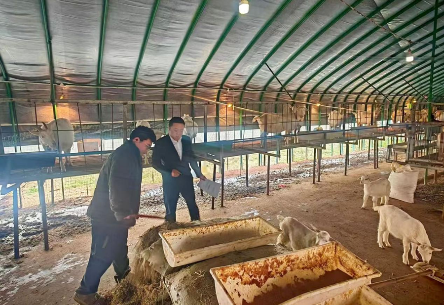 正在上传... 724d3dc6a932b78d8ae3a2d83a91db28.png