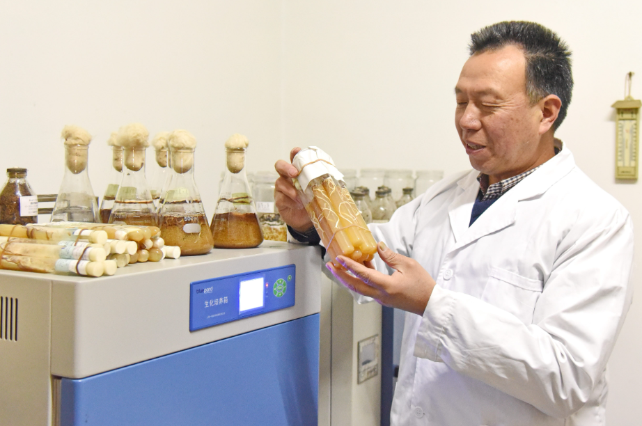 正在上传... 6b739b74e37e477c14958256a38812af.png