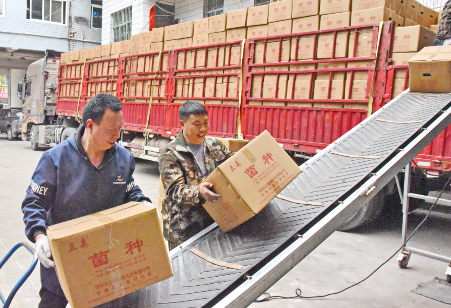 正在上传... 95b11983a275a5e0a4cea5d23c88887a.png