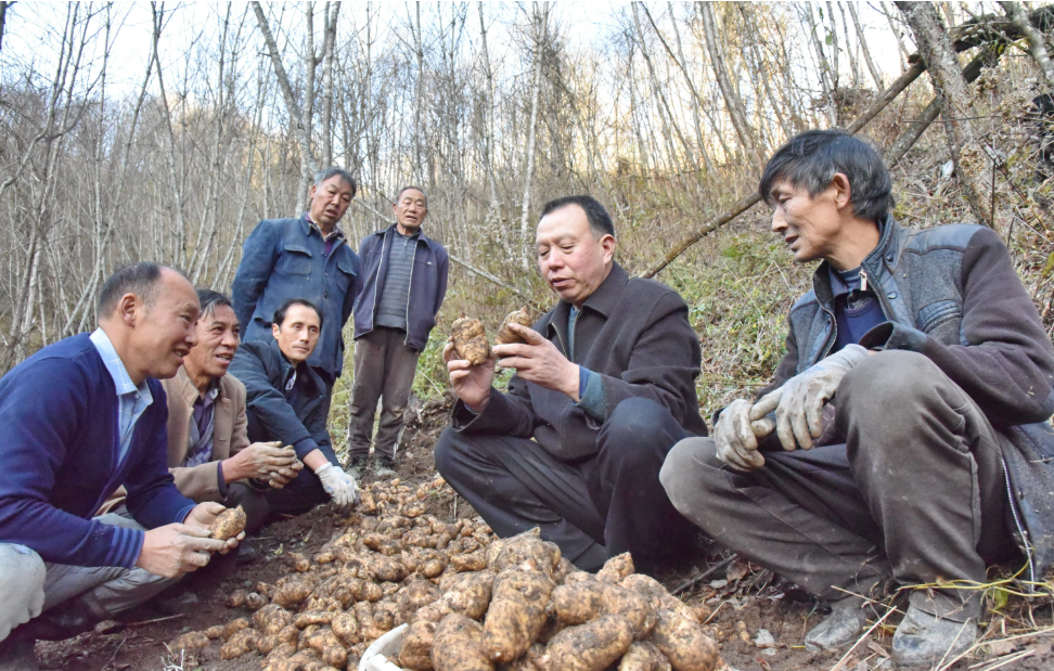 正在上传... ad00e3e93e44486c6cccce21a0b23a8e.png