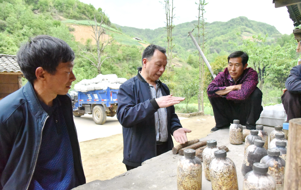 正在上传... e7375b5d801f41673587ee47e10d60d9.png