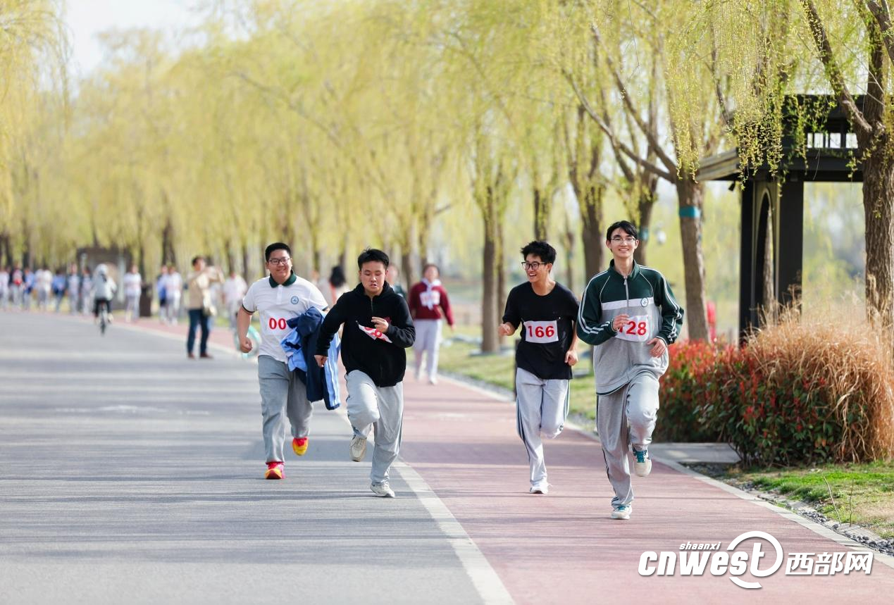 正在上传... 9cfcea984842c50ac55abfb20e3f46c8.png