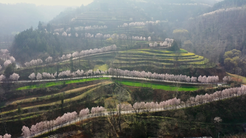 正在上传... e086372203d36bbeff9f63c32f85344c.png