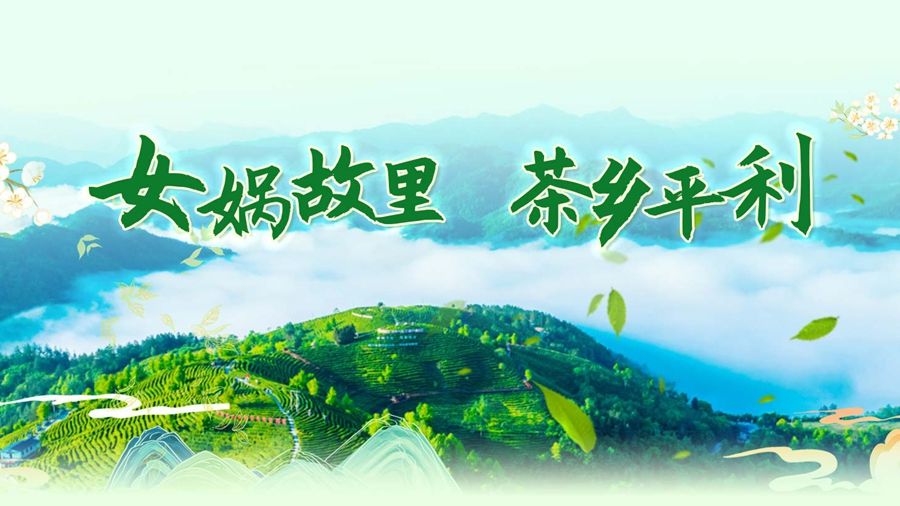 专题丨女娲故里 茶乡平利