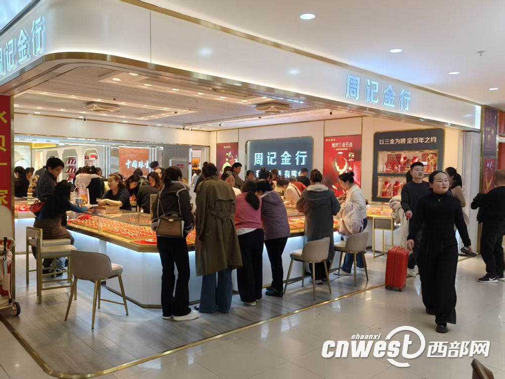 正在上传... b4adc01e2981fbc59c019d7c5dda8543.png