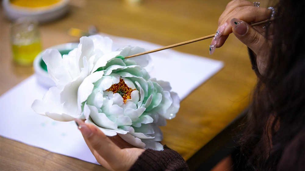 高清组图丨开在china上的“国色天香”