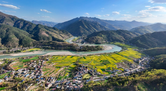 “嘉陵江第一湾”的春天：来汉中宁强燕子砭 看千亩油菜花海