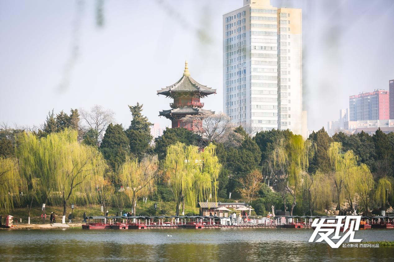 发现｜兴庆宫公园春正浓