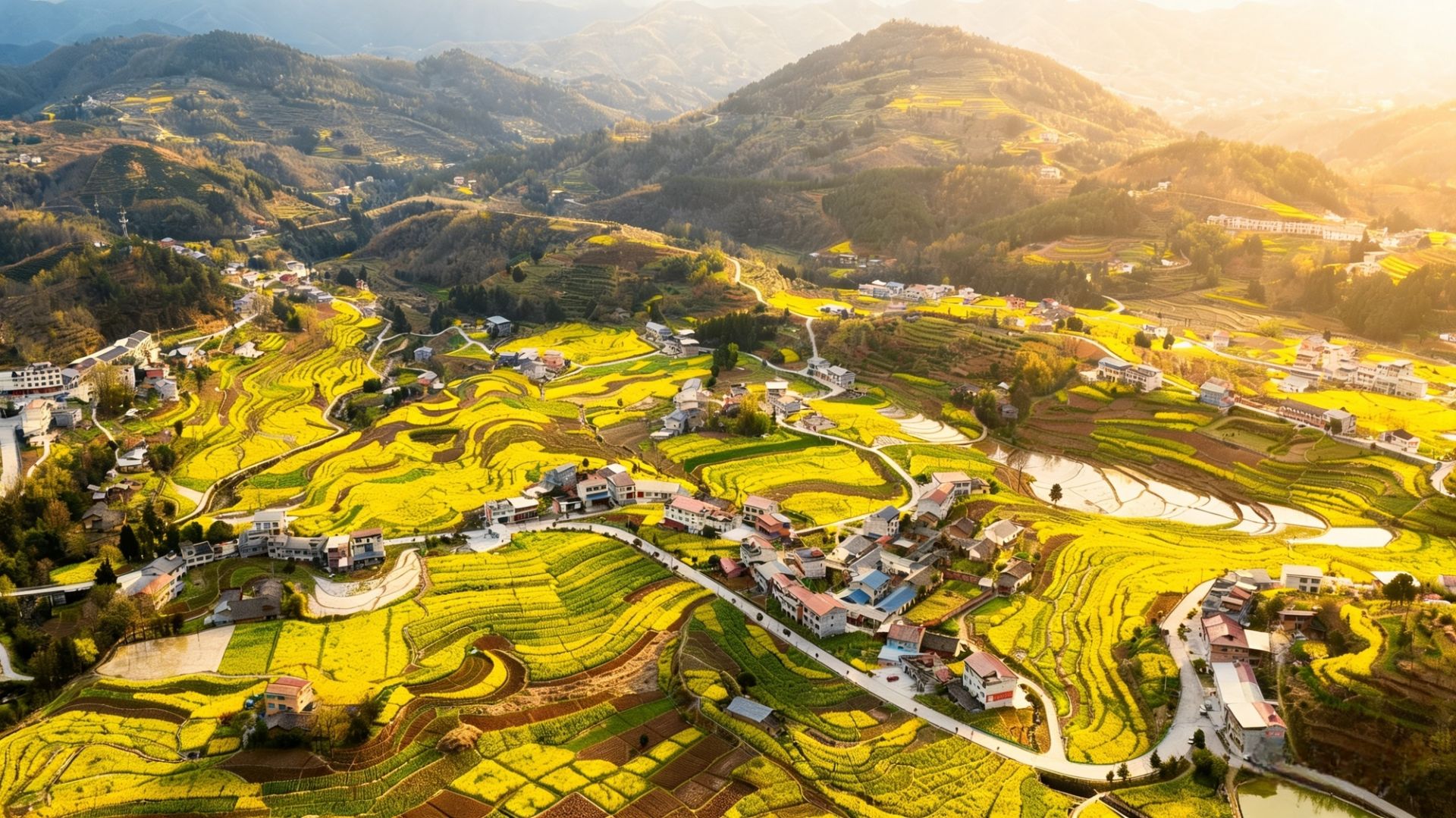 春日里的中国丨陕西：流金梯田映春色 千年智慧焕生机