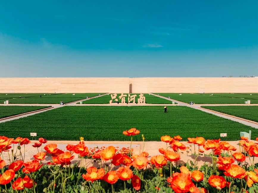 景区内的麦田广场。只有河南·戏剧幻城景区供图