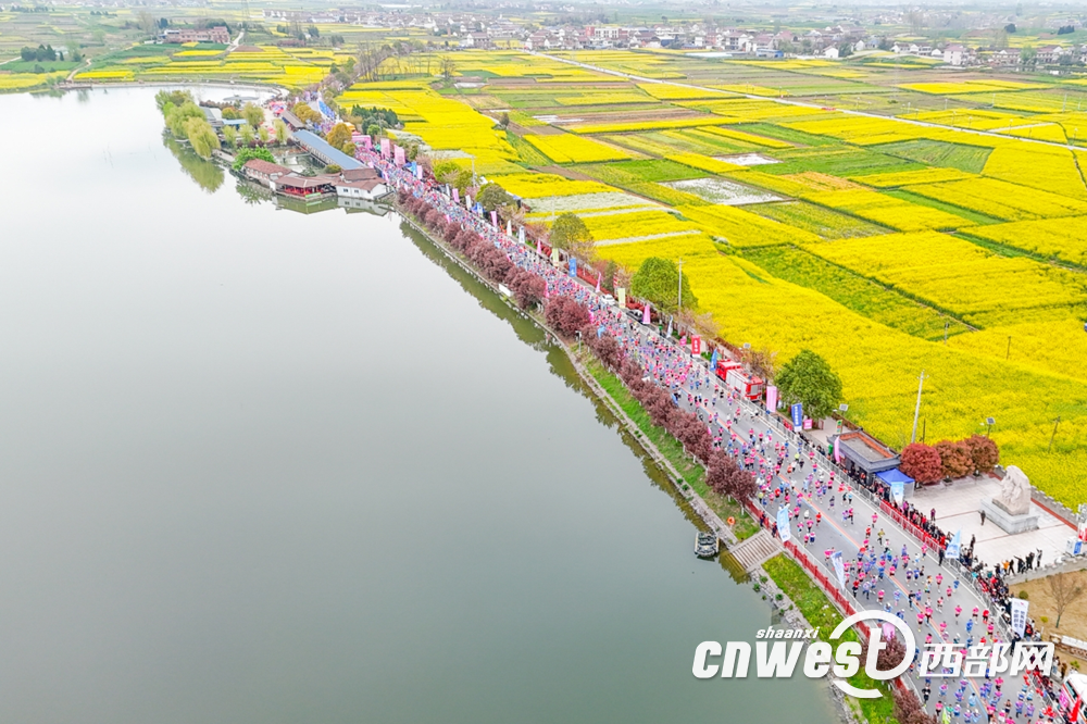 正在上传... 990145ac6681963a33c9e4cc7831e0d7.png