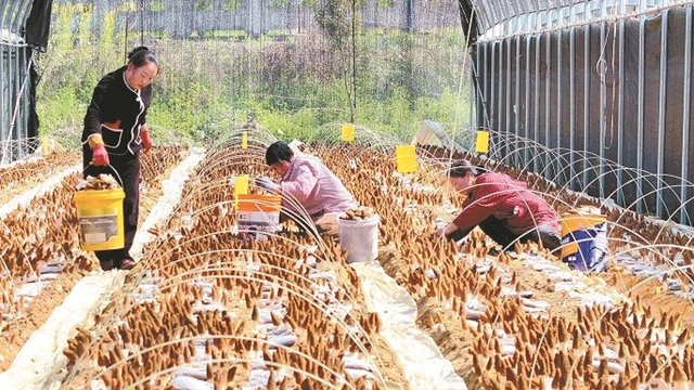 不误农时不负春