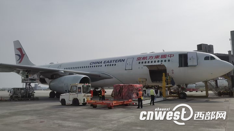 正在上传... 6040f04c28a4c9feef6e1a99bd5e77e6.png