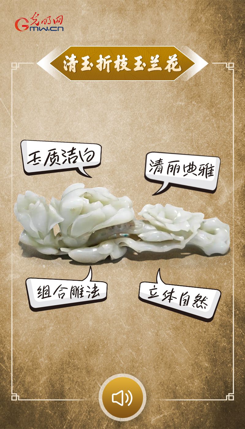 “文物会说话”有声海报｜一朵高洁的玉兰，撑起春天的风骨