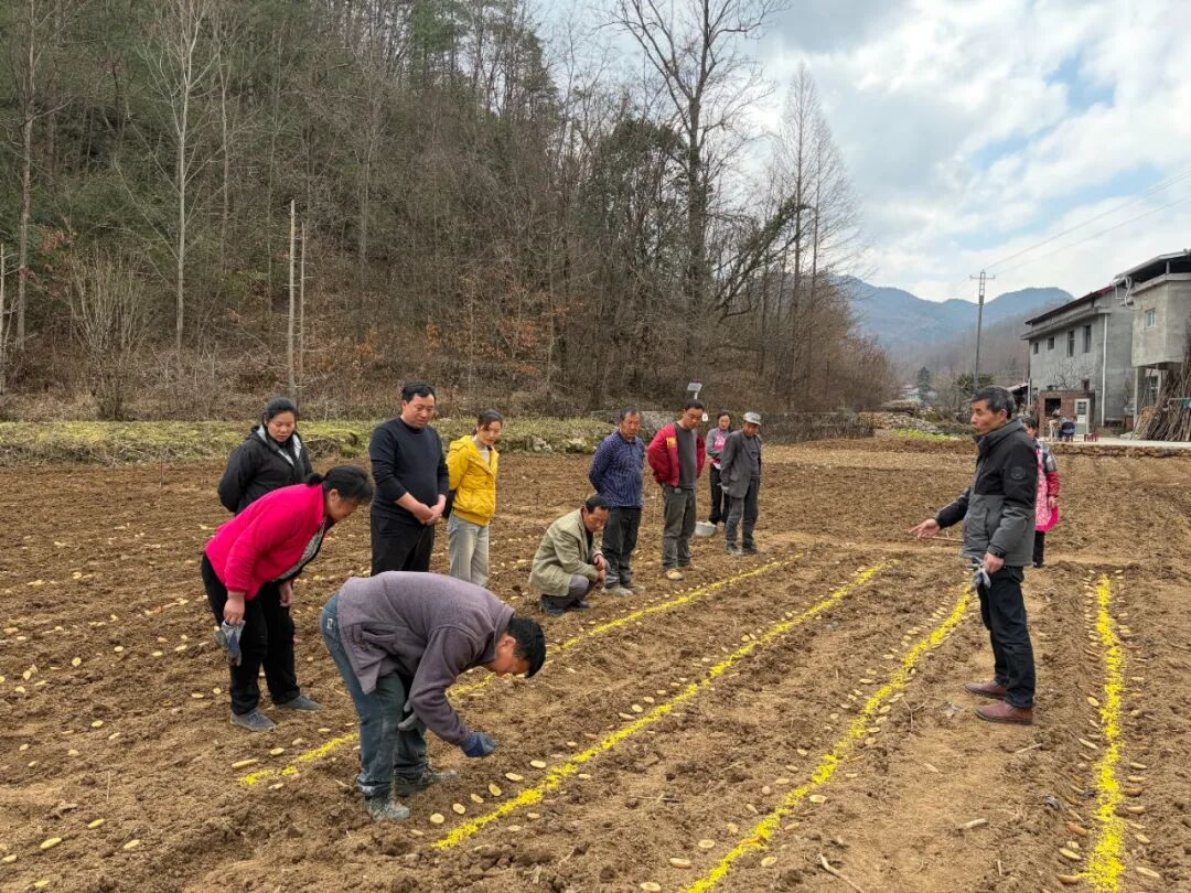 正在上传... f03ae5cfec6b3bdd8c0bfd237b3135ba.png