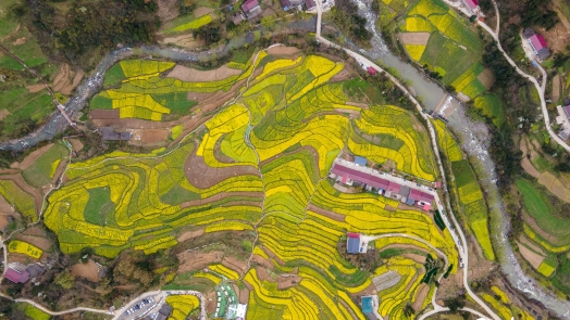 汉中宁强县高寨子街道办：打好乡村振兴组合拳 绘就宜居宜业新画卷