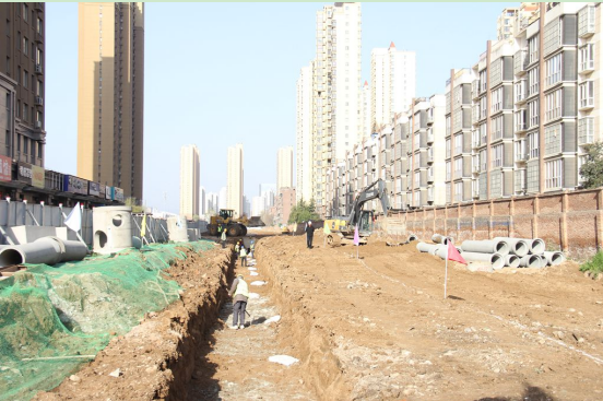 宝鸡市金台区聚力民生工程提质增效 绘就“十五五”民生新图景