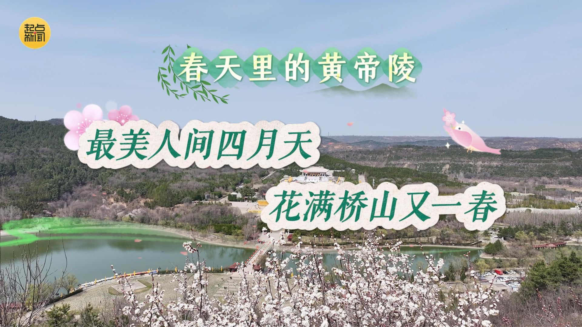 春天里的黄帝陵丨最美人间四月天 花满桥山又一春