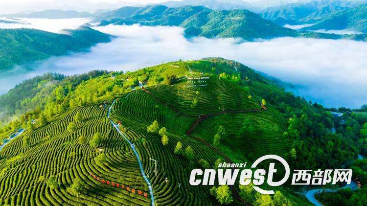 正在上传... 66ecd634c1726140a8bf94d6cd3b9e8f.png