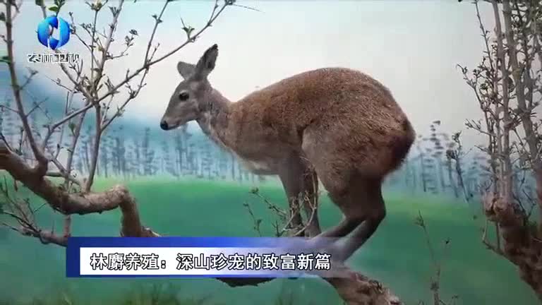 农村大市场 (2026-04-05)