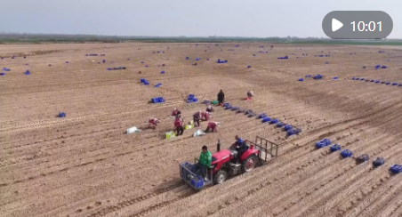 正在上传... 546331b024058916960599997938dc67.png